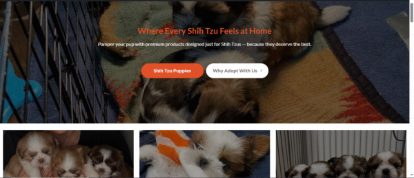 Ready-Made Pet Website for Sale - Image 2