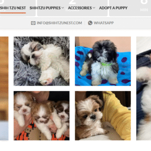 Ready-Made Pet Website for Sale