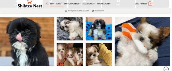 Ready-Made Pet Website for Sale