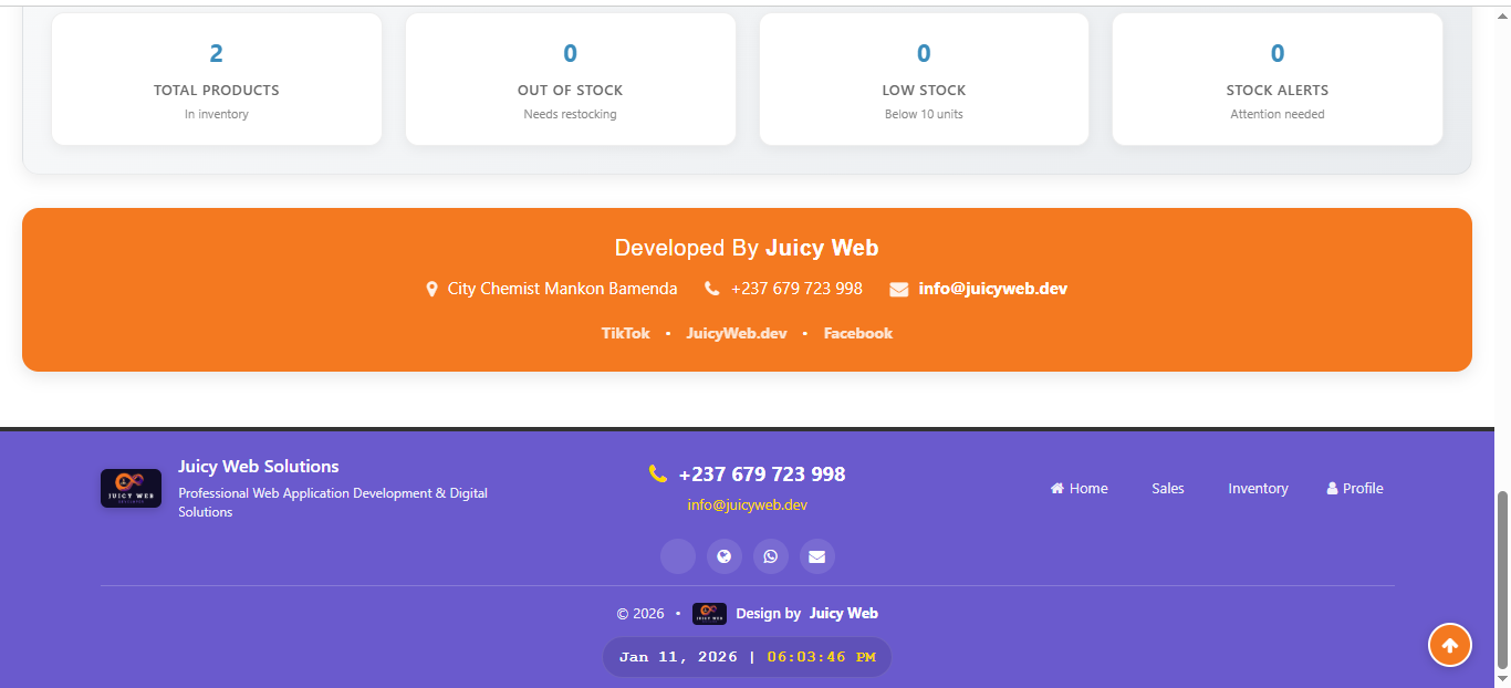 Ultimate POS - Multi-Branch Inventory & Sales System - Image 14